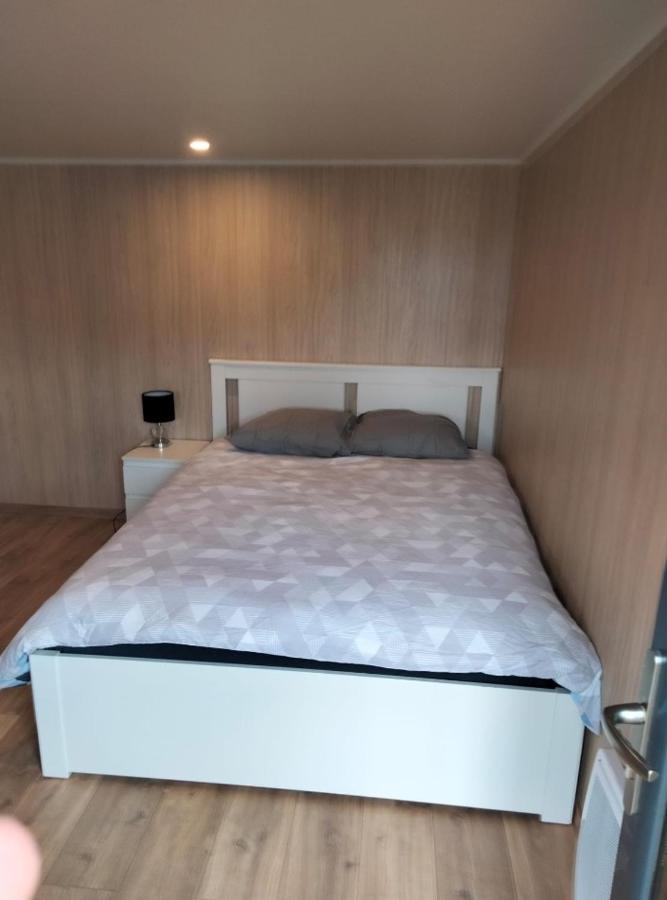Duplex Atypique En Bois Entre Ville Et Verdures ラ・シャペル・サン・メマン エクステリア 写真